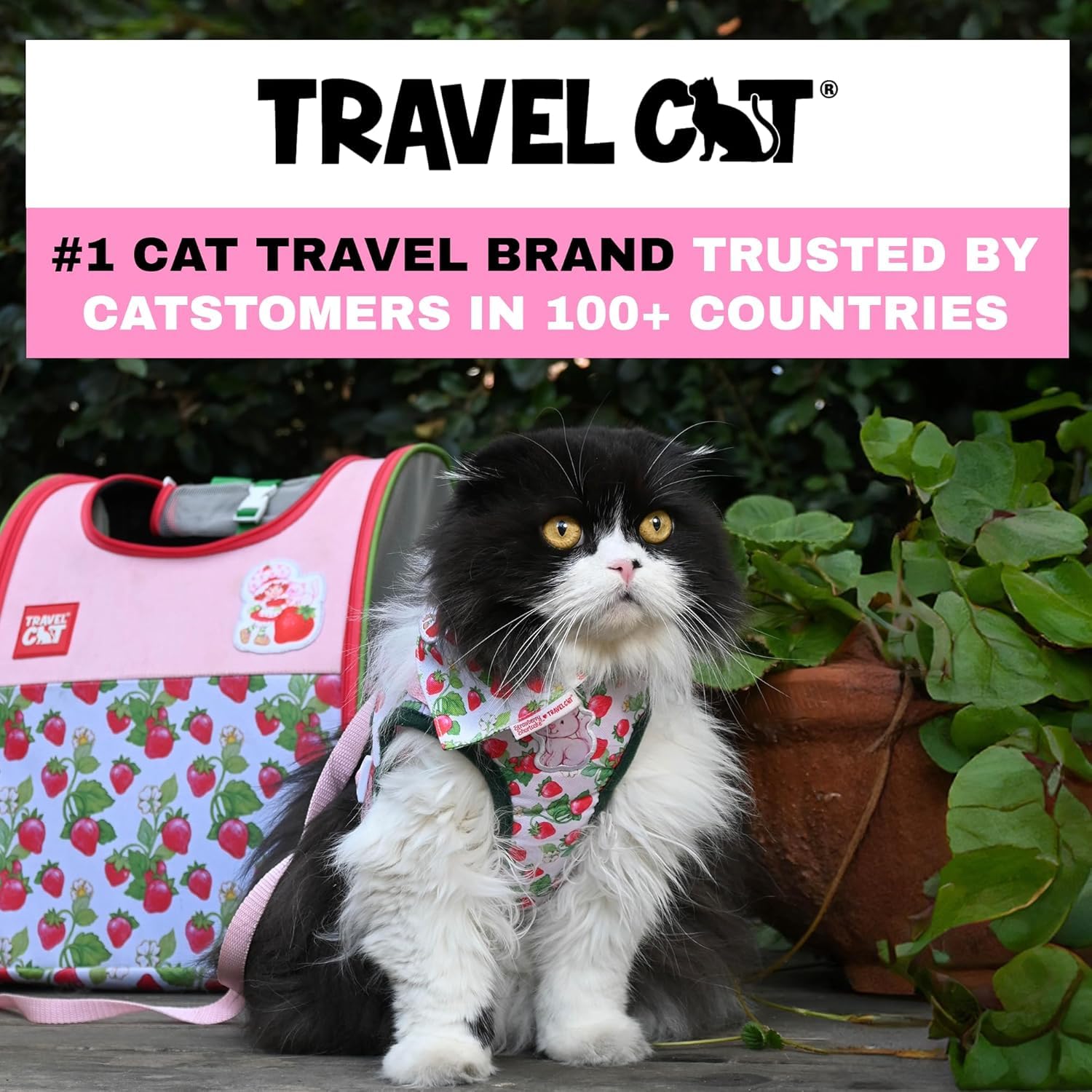 Travel Cat Set di pettorina e guinzaglio con motivo fragole, regolabile, in rete, con cinghia riflettente, per gatti, gattini, per attività all'aperto (torta alla fragola, grande)
