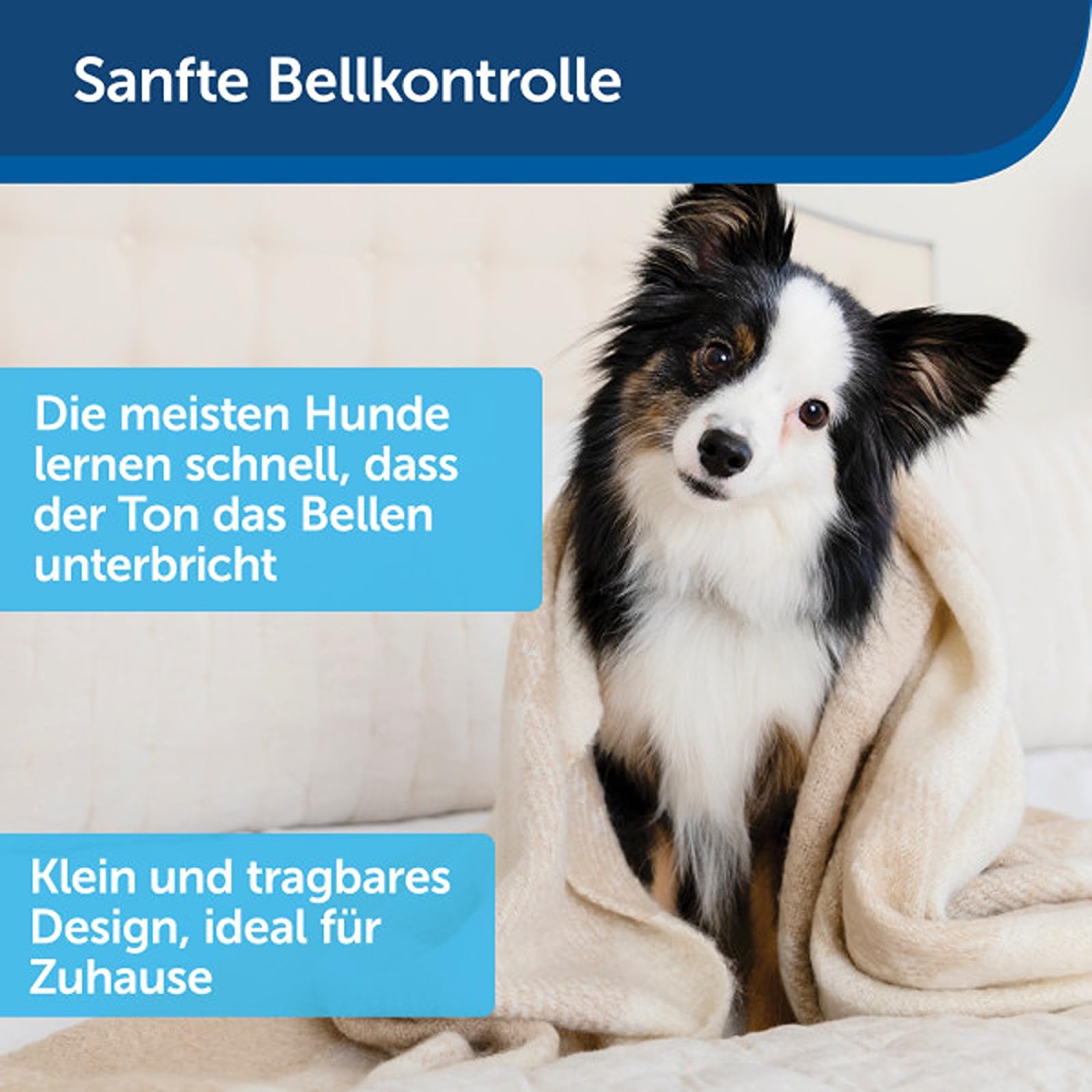 PetSafe Bellkontrolle für Innenräume, Bellsensor mit Ultraschallton, 1er-Pack, 8 M Reichweiter, 2 3V-Batterien nötig