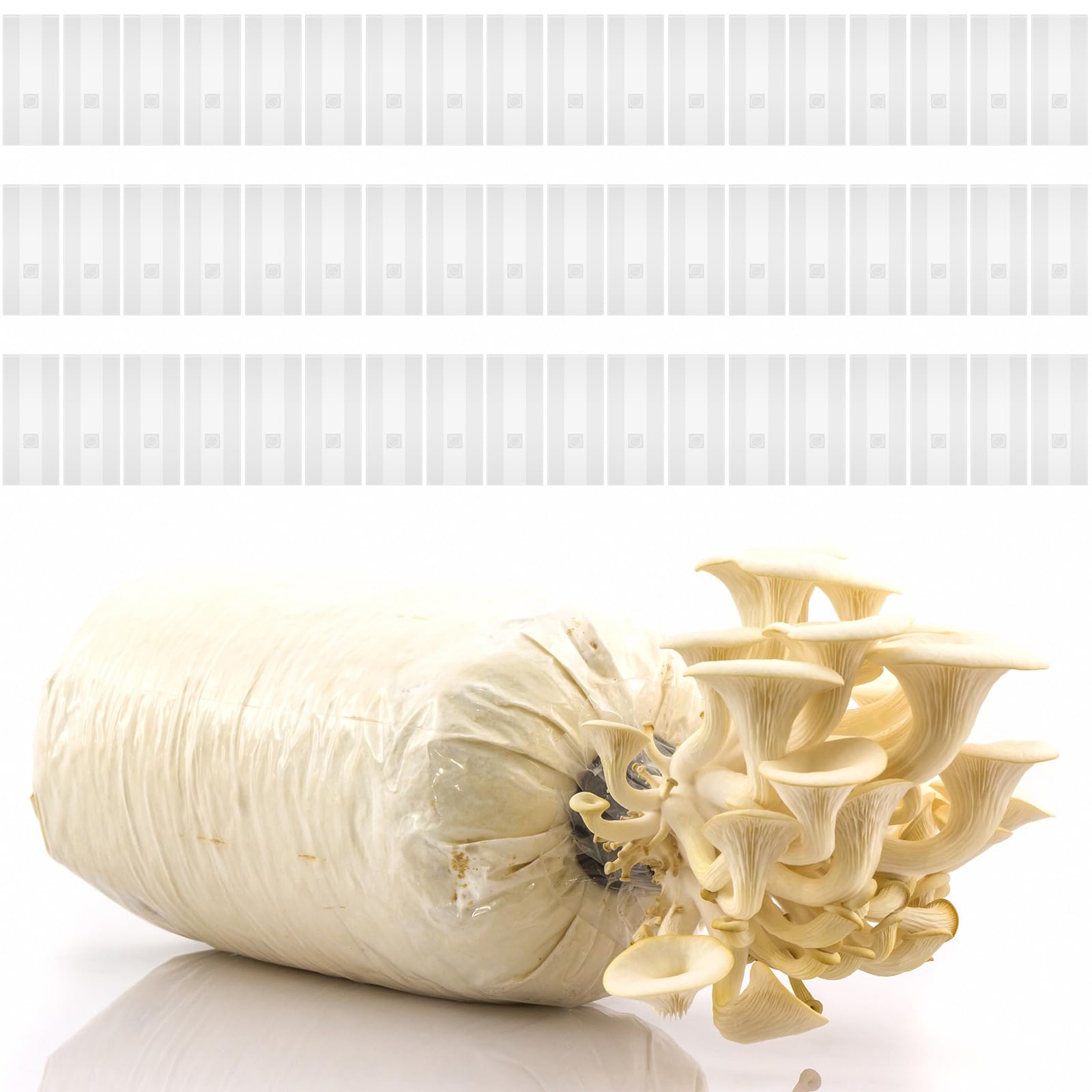 Fulmoon 50 Pcs Mushroom Grow Bags 20 x 8 x 5 Inch 6 Mil Thick Mushroom Spawn Bag Large Tear Resistant Breathable Mushroom Grain Bag with 0.2 mm Filter Bulk for Substrate Autoclavable Mycology