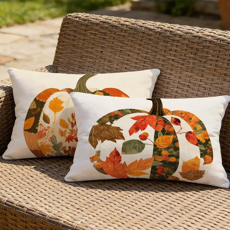 Housse de coussin extérieur 50x70 imperméable pour protéger du jardin - 2