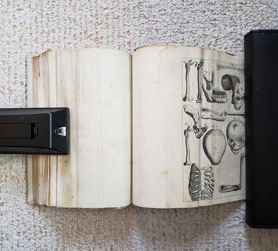 洋書　蘭学ターヘル・アナトミア/解体新書　インテリア　コレクション 洋書 蘭学ターヘル・アナトミア/解体新書 インテリア