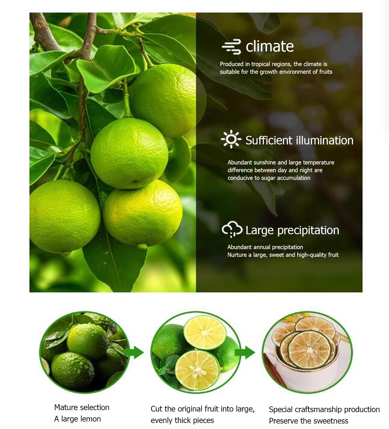 Premium Dried Lime Slices, Natural Dried Lime Slices, for Crafts Cake Decoration Cocktail Garnish Table Scatters Potpourri Candle Crafts(7.05oz/200g)