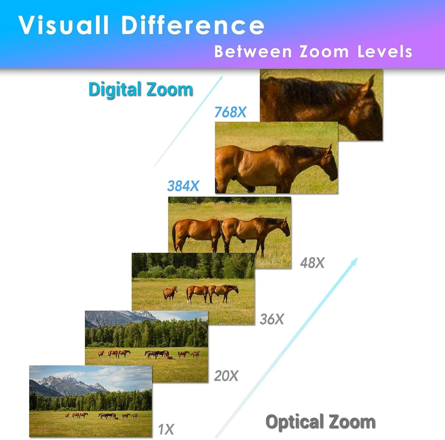 Get That Bid In & Win Your Favorite Items!