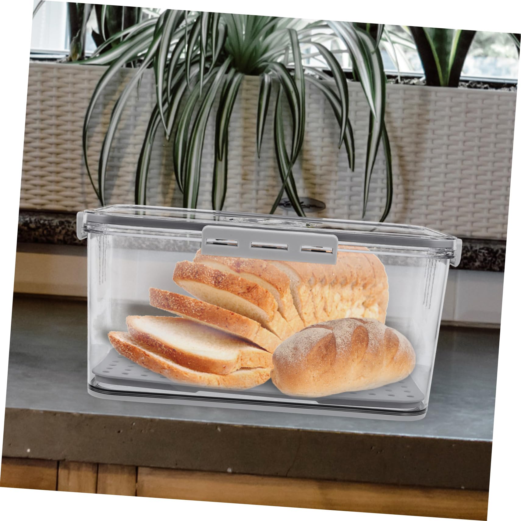 DECHOUS Contenitore con Coperchio, Scatola Frigo Ermetica in Pet, Organizer per Frutta e Verdura con Piastra Drenante, per Cucina e Armadietti
