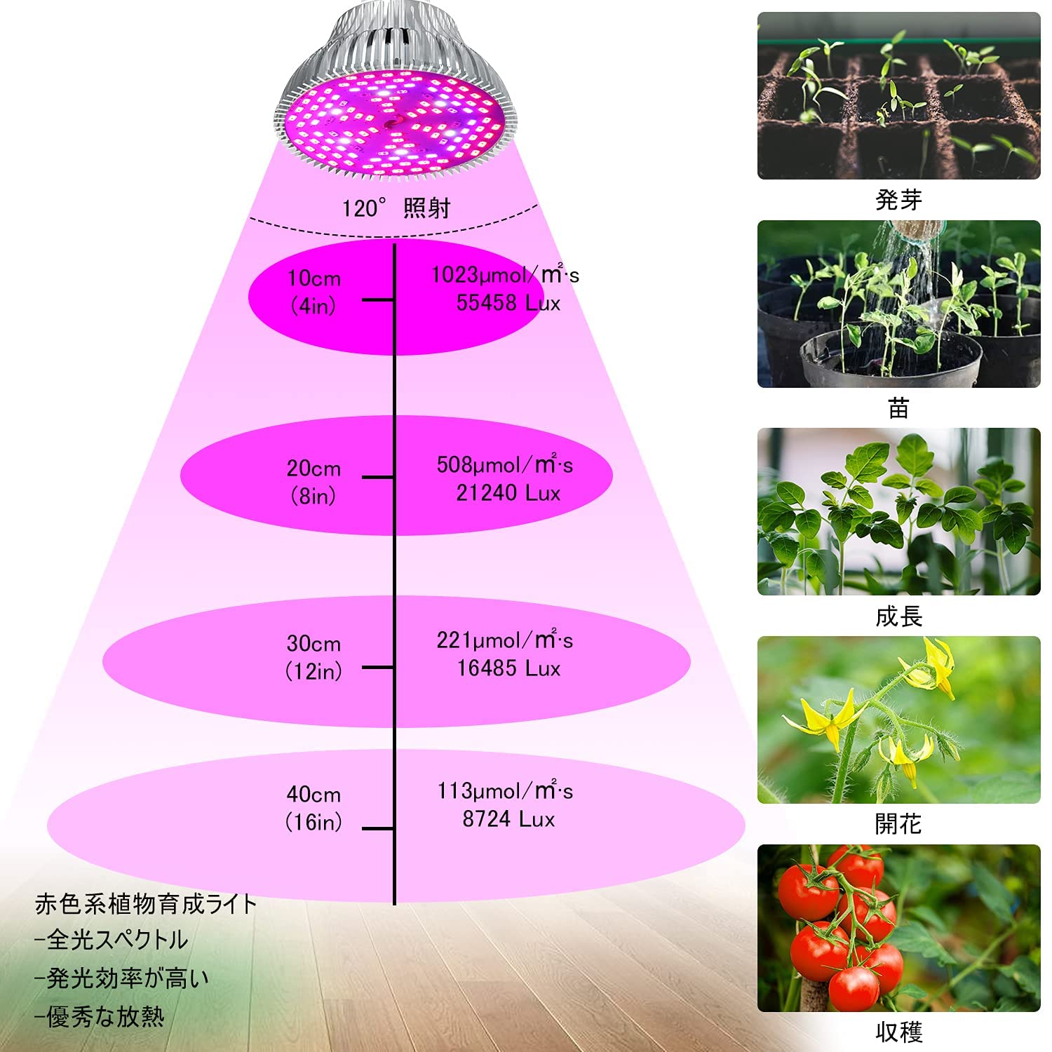 Amazon.co.jp: MORSEN LED植物育成ライト 80W相当 赤色 E26口金