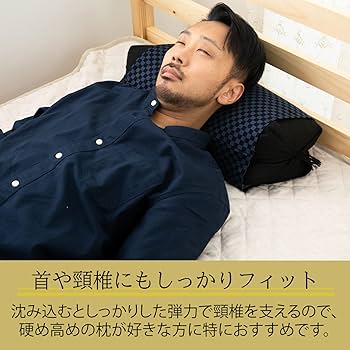 三河木綿シルク綿巻そば殻枕２個+枕カバー2枚セット(内閣総理大臣賞受賞)天然素材 三河木綿シルク綿巻そば殻枕2個+枕カバー2枚セット(内閣