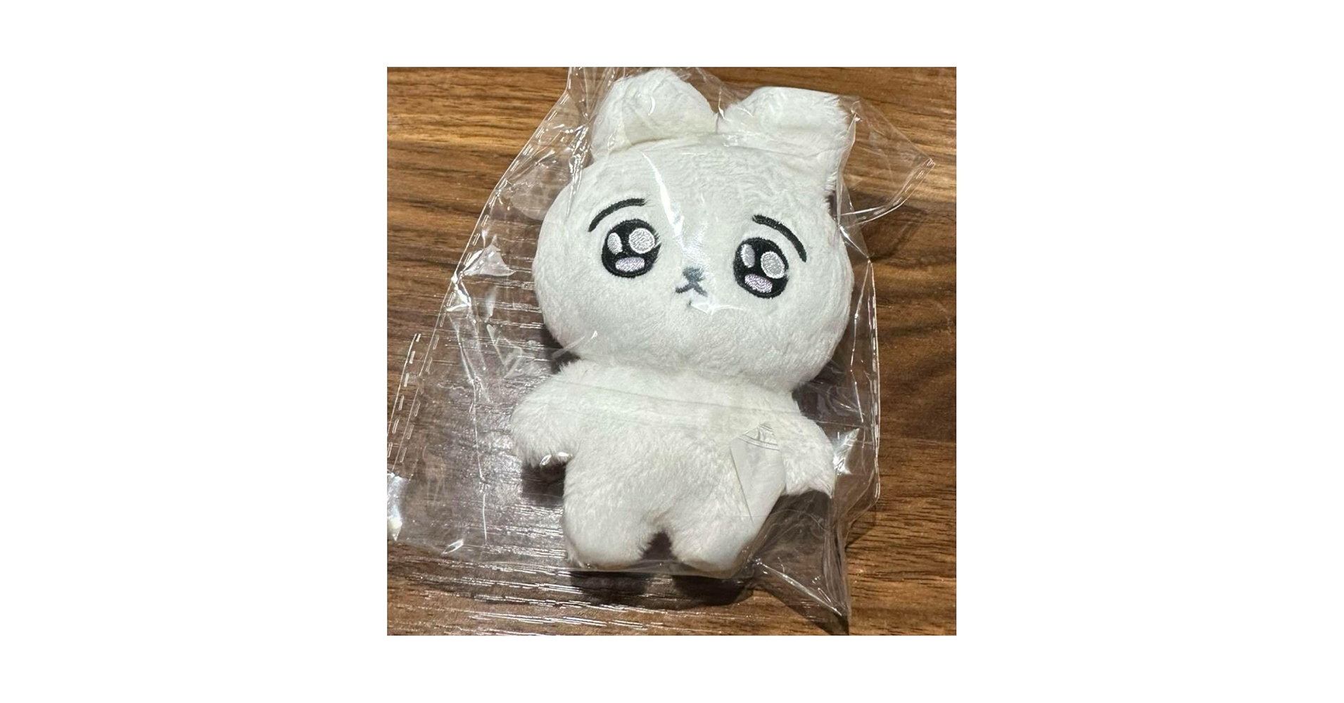 bts ジョングク　グク　ぬいぐるみ　うさぎ　マスター正規品　10cm BTS ジョングク グク マスター ぬいぐるみ 20cm 10cm うさぎ 兎