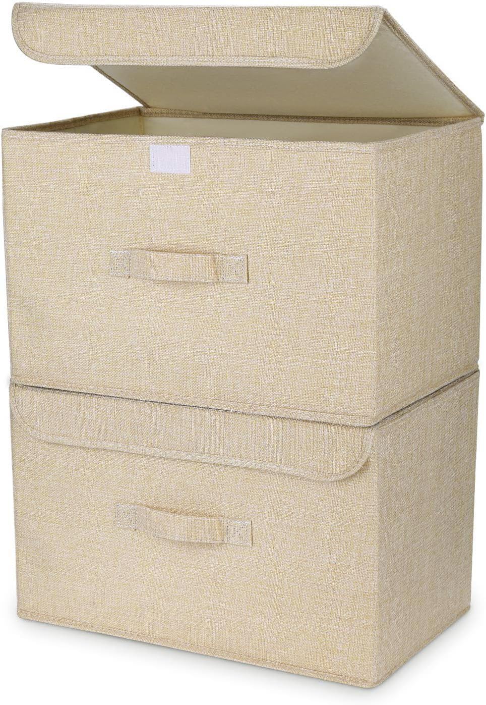 Homsorout Collapsible Storage Box with Lid, Pack of 2