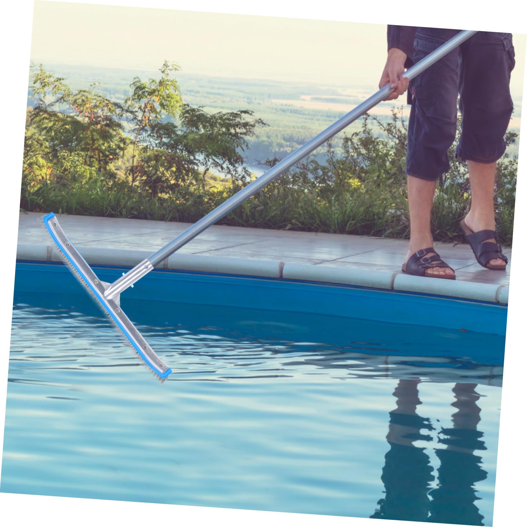 Cepillo de Alambre 1 para Piscina Cabezal de Cepillo de Repuesto