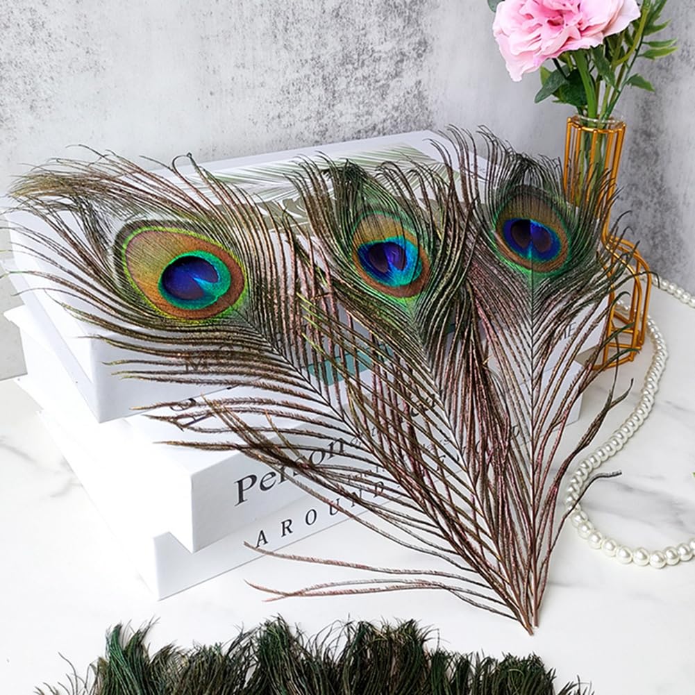 50 Stck Knstliche Pfauenfedern zum Basteln Natrliche Pfau Schwanzfedern  Deko mit Augen Federn Bastelfeder fr DIY Craft Hte Kostm Hochzeit Party  ...