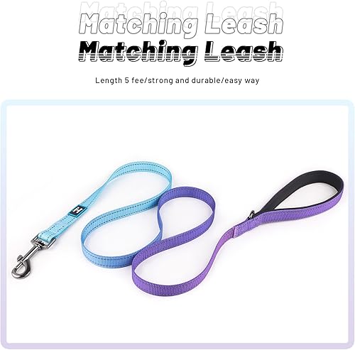 Vista 39 de Roses&Poetry Juego de collar y correa para perro pequeño, juego de correa y collar reflectante para cachorros, collares duraderos ajustables