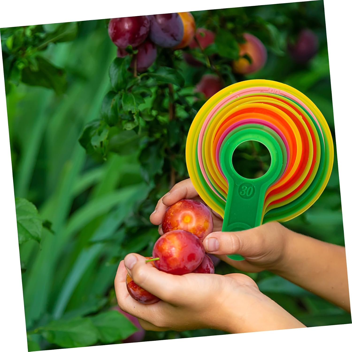 1 Set Measuring Circle Fruit Diameter Measuring Circle Set Grading Board Plastic Fruits Diameter