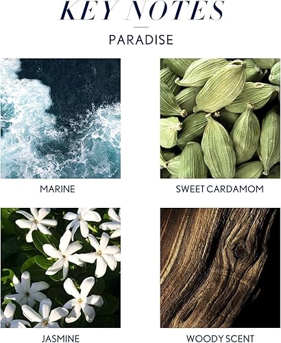 Miniatura 8 de JCLOUD Aceite esencial Golden Era inspirado en InterContinental Hotel  Colección de hotel - Aceite difusor de aromaterapia puro con aceite de ámbar