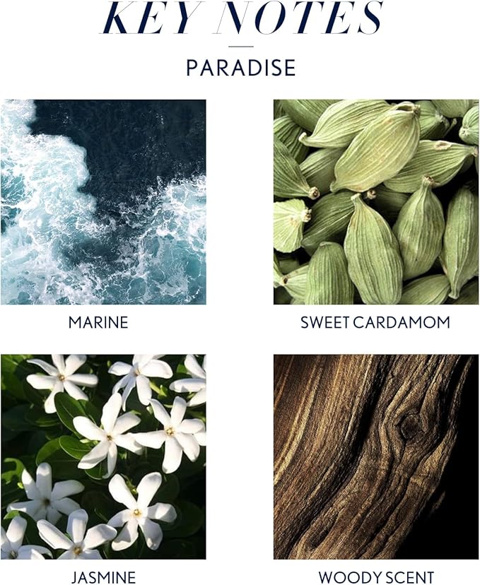 Aceite Esencial JCLOUD Paradise para Difusor - 100mL miniatura 2