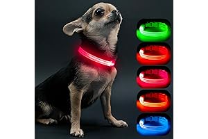 Small Light Up Dog Collar: The Ultimate Illumination for Nighttime Adventures