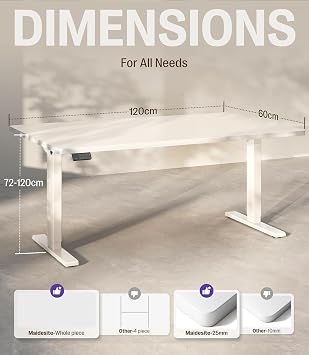 MAIDeSITe S2 Electric Height Adjustable Standing Desk 120x60cm, High Performance Sit Stand Desk with Dual Motor 4 Memory Position 125KG Capacity, Heavy Duty Stand Up Desk for Home Office