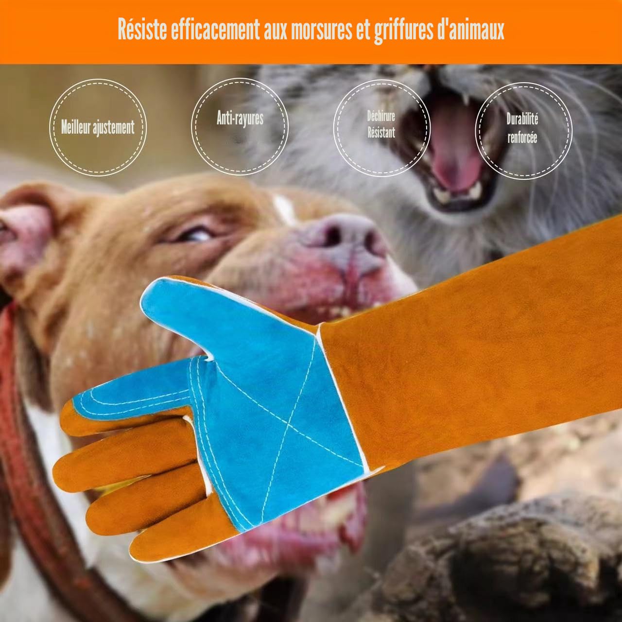 Gants de manipulation d'animaux en Kevlar résistant aux morsures et à la soudure, en cuir renforcé, résistant à la chaleur/à l'usure, pour dressage d'animaux domestiques, griffures de chat,