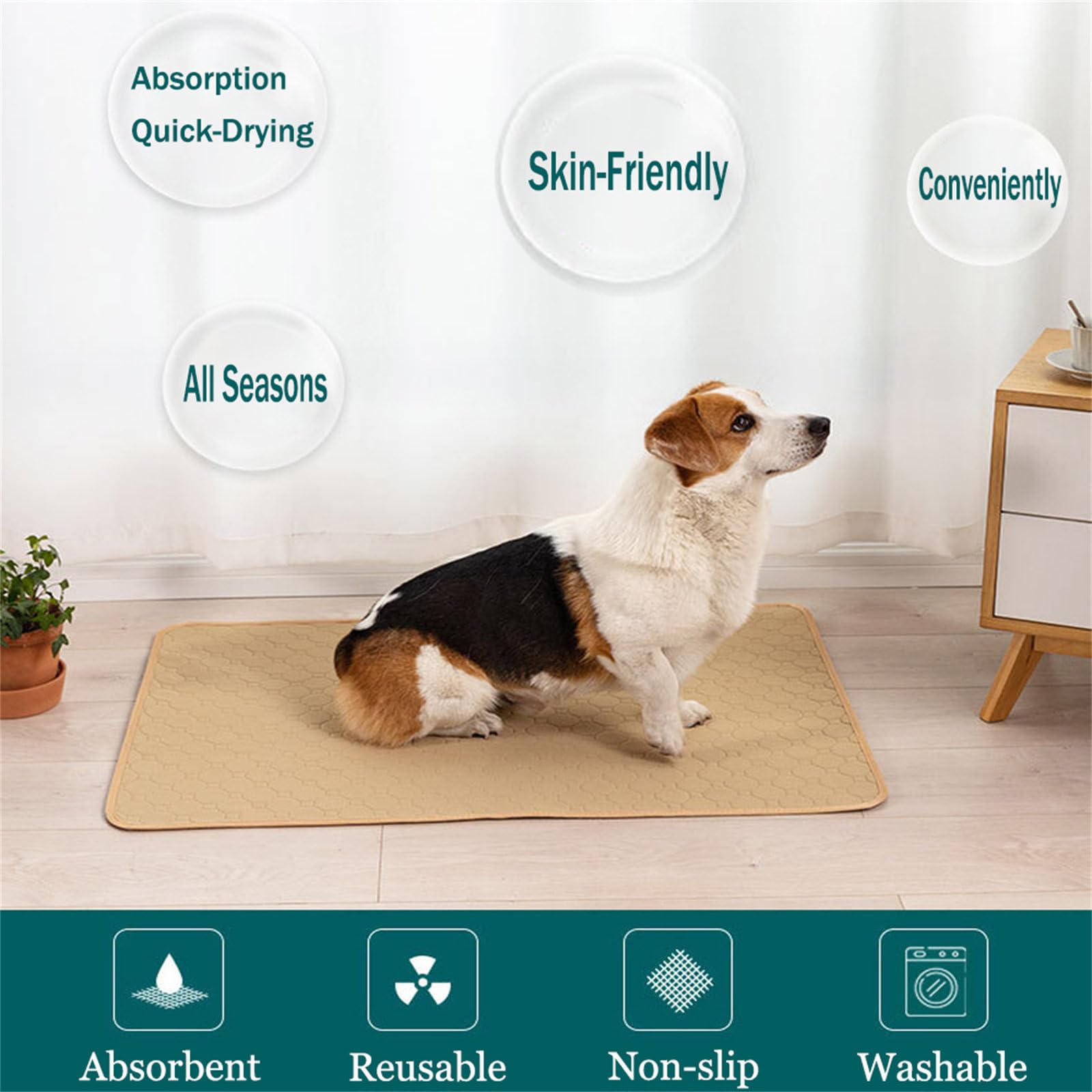 FANSU Tappetino per Cani Lavabili, Stampa a Tinta Unita Assorbenti Tappetini Igienici per Cani, Traversine Cani, Tappetino per Addestramento del Cane Riutilizzabile (210x260cm,Nero)