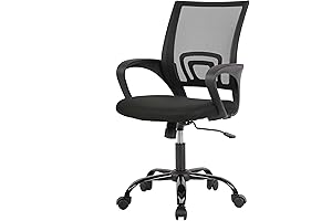 PayLessHere Ergonomic Office Chair Under $20