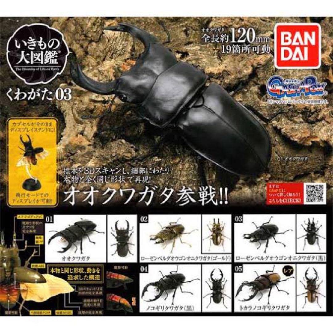 Amazon.co.jp: いきもの大図鑑 くわがた03 トカラノコギリクワガタ