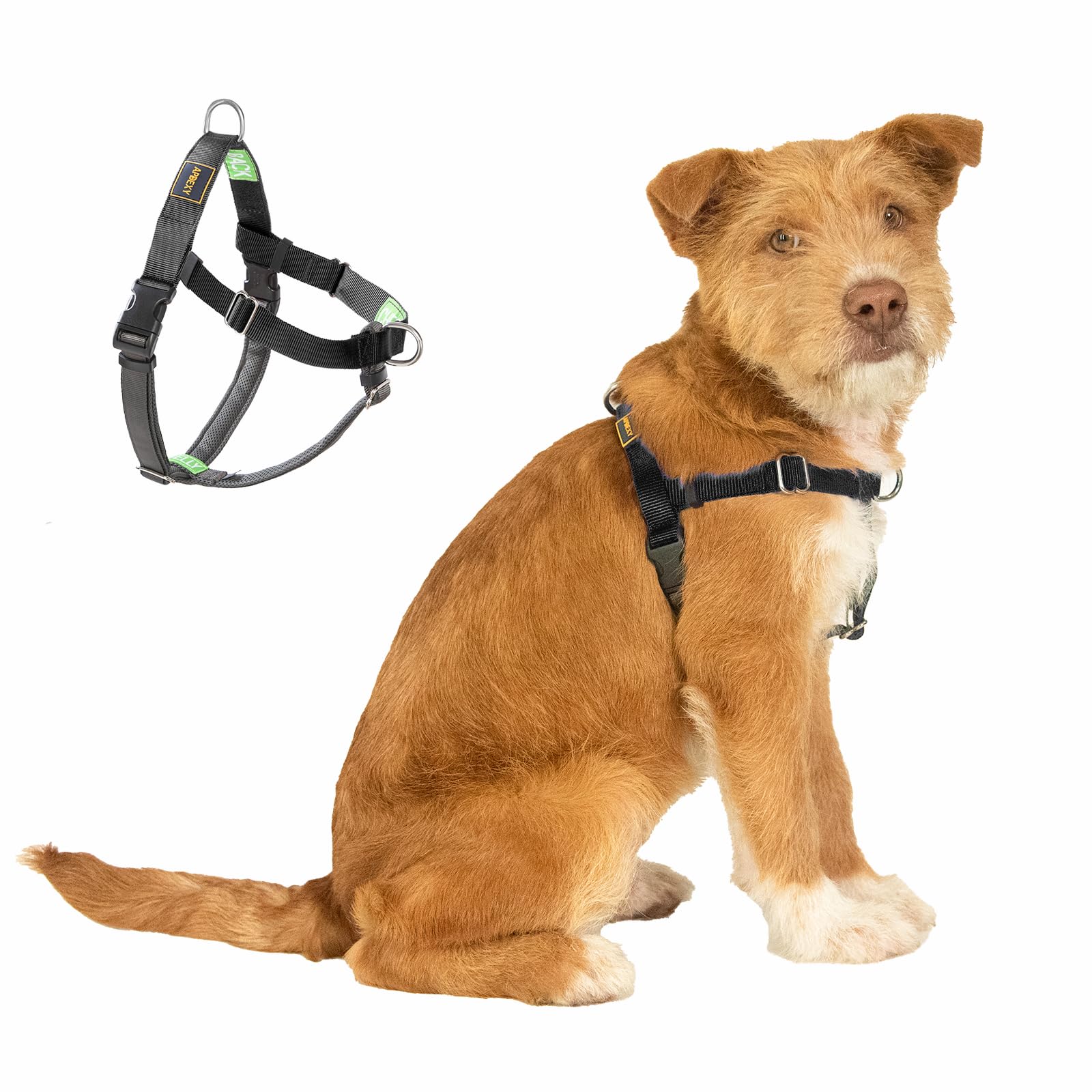 APDEXY Freedom No Pull Dog Harness for Medium Dogs, Easy Walker, Anti Pulling with Two Stainless D-Rings, Comfortable, Sewn-in Instructions Tags for