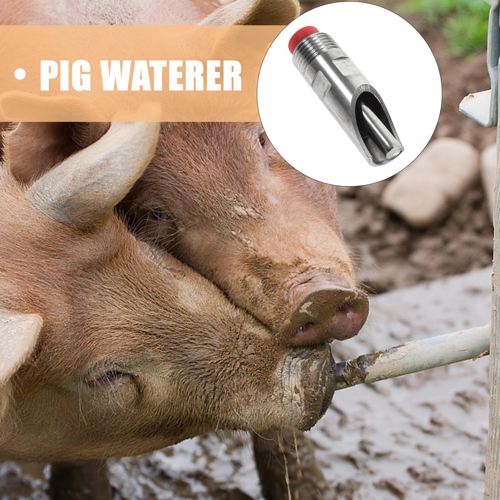 Abbeveratoio per Maiali Automatico 10 Pezzi in Metallo Inossidabile , Dispenser Acqua Antisperdimento per Allevamento Bestiame