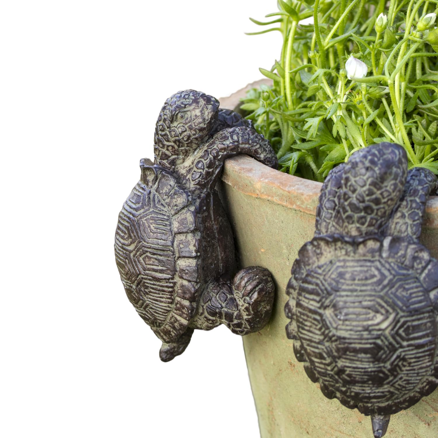 Darthome Brown, Green Set Of 2 Climbing Tortoise Pot Hangers, Realistic Textured Resin, Brown And Green, Garden Planter Ornaments For Indoor And Outdoor Use
