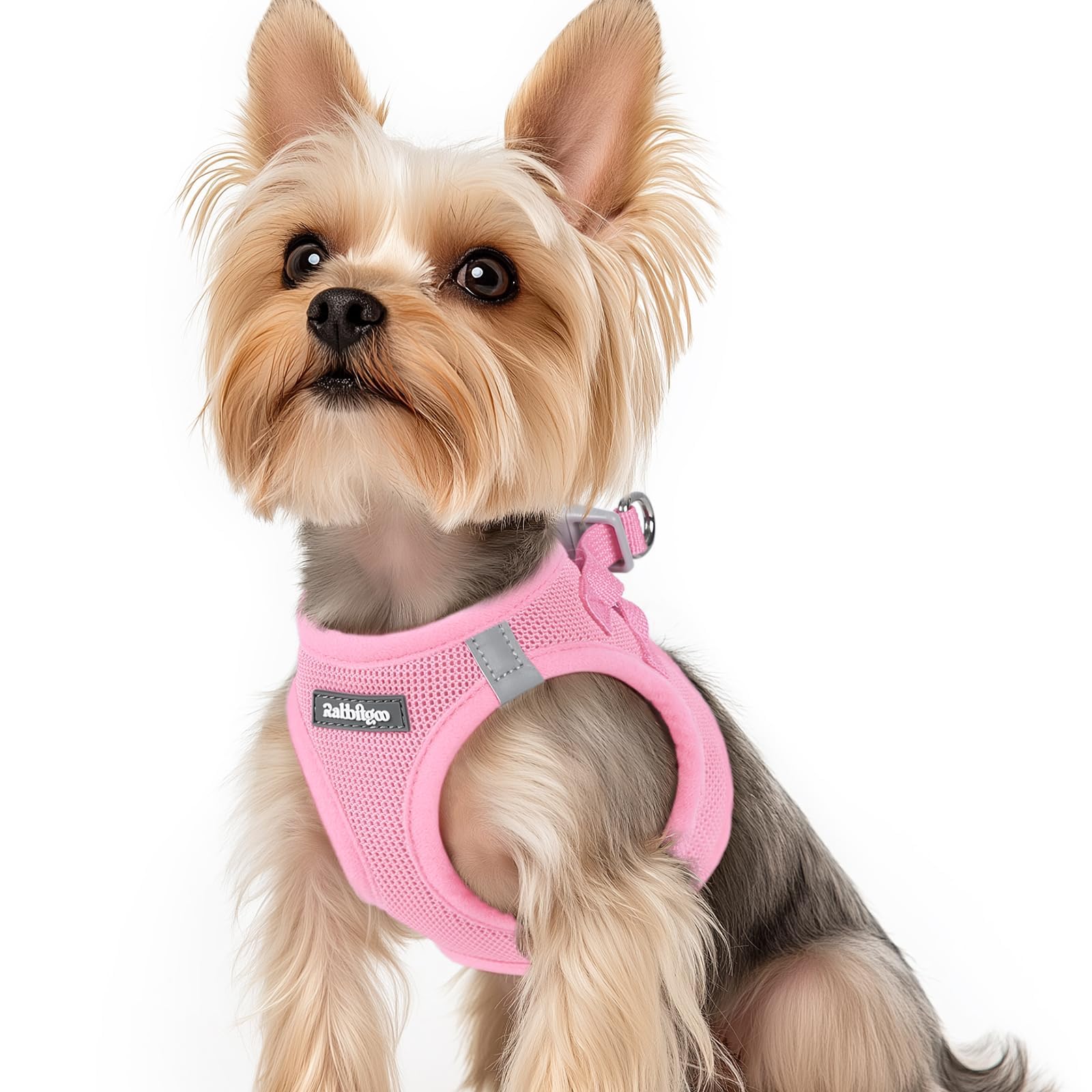 rabbitgoo Dog Harness Small Dog, Step-in Soft Mesh Puppy Harness with Reflective Strips, Lightweight Breathable Pet Vest for Walking Training, Light Pink, XS