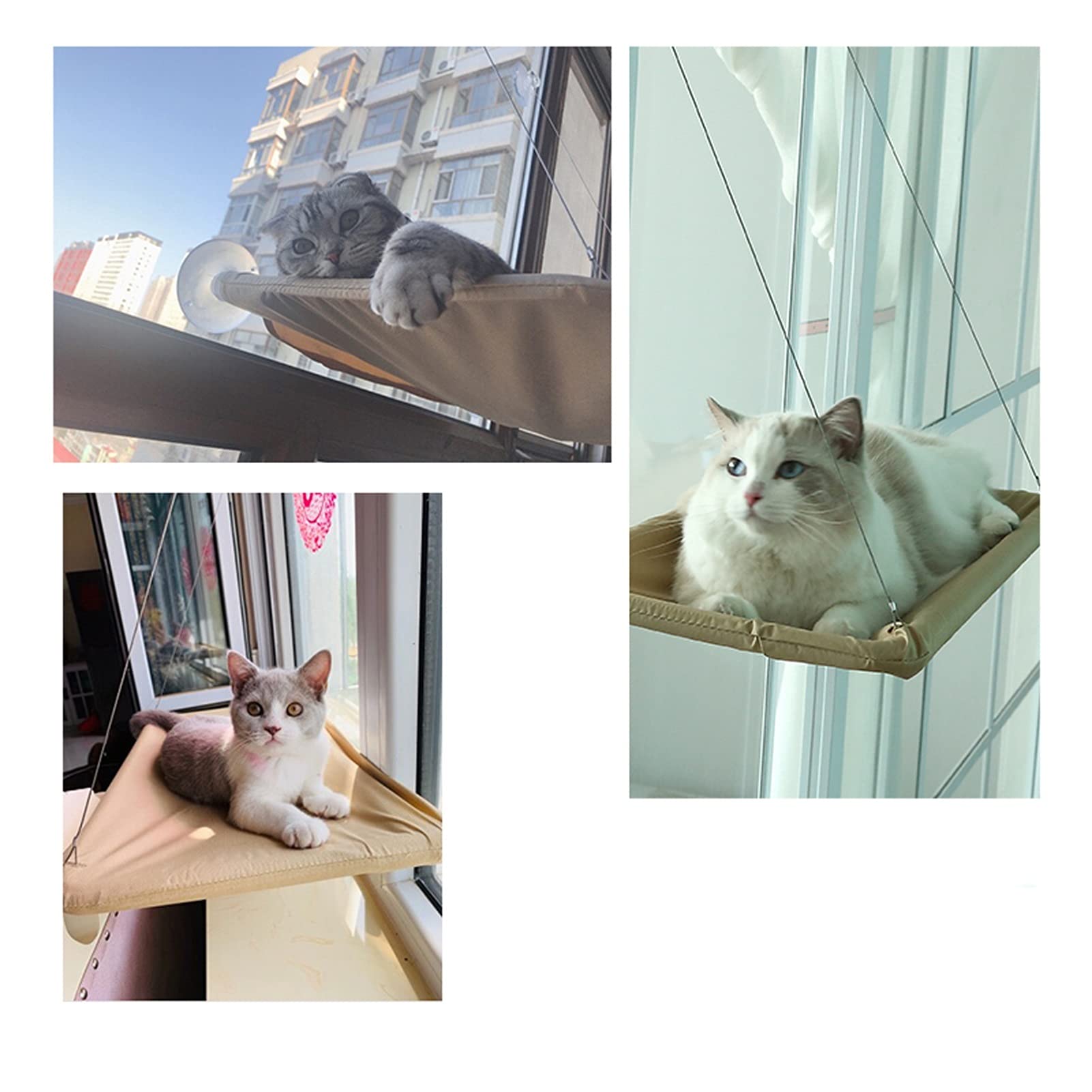 Hamac Chat/Perchoir à Chat Siège de chat de fenêtre, siège de fenêtre de chat de chat avec ventouses fortes, lit de chat monté sur fenêtre for chats d'intérieur, sécurité, économie d'espace, facile à