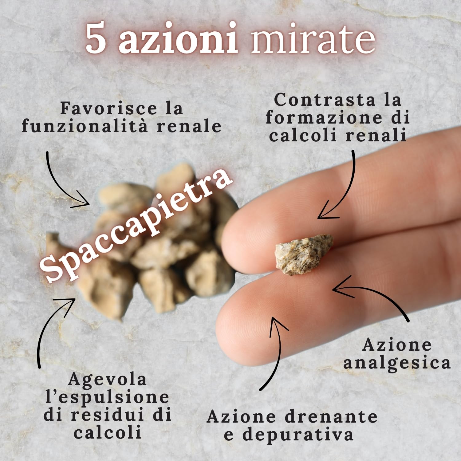 TEKOVIT Spaccapietra - Integratore Naturale con Fillanto Spaccapietra, Resveratrolo, Potassio e Camomilla, Benessere Renale e Vie Urinarie, Formula Completa - Made in Italy (60 Cps) – Wellvit