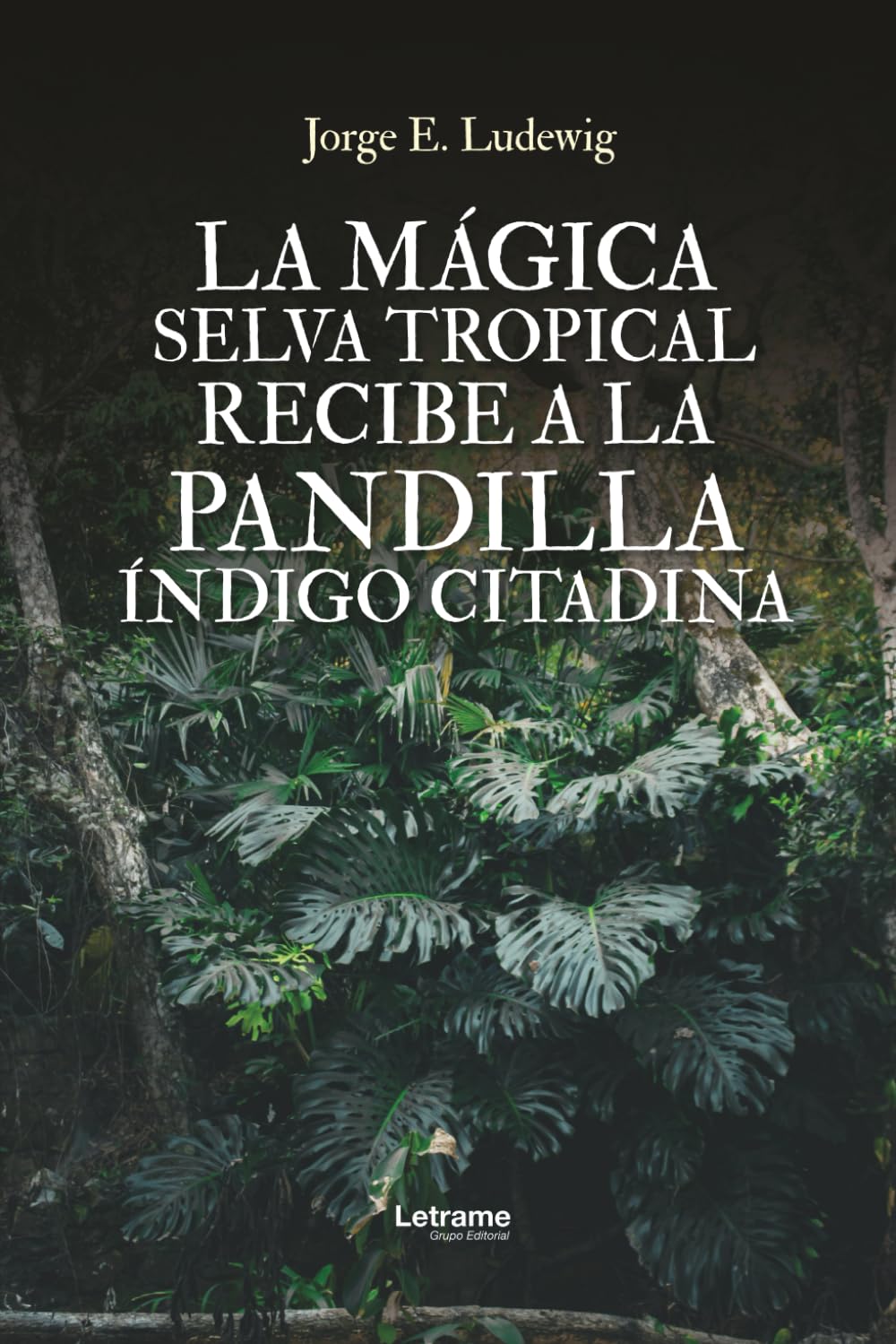 La mágica selva tropical recibe a la pandilla Índigo Citadina: 1 (Fantasía)