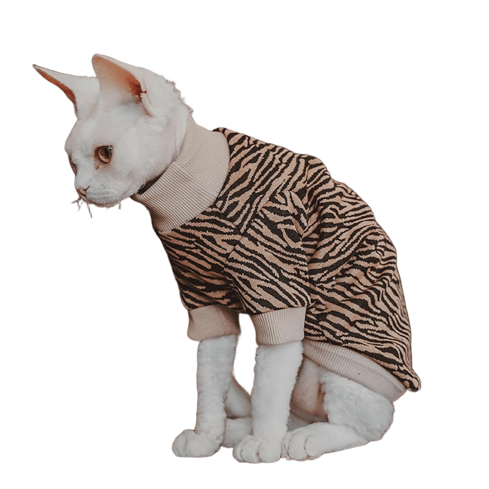 Vêtements chat Sphynx pour l'hiver : pyjama léopard douillet pour les siestes de votre félin
