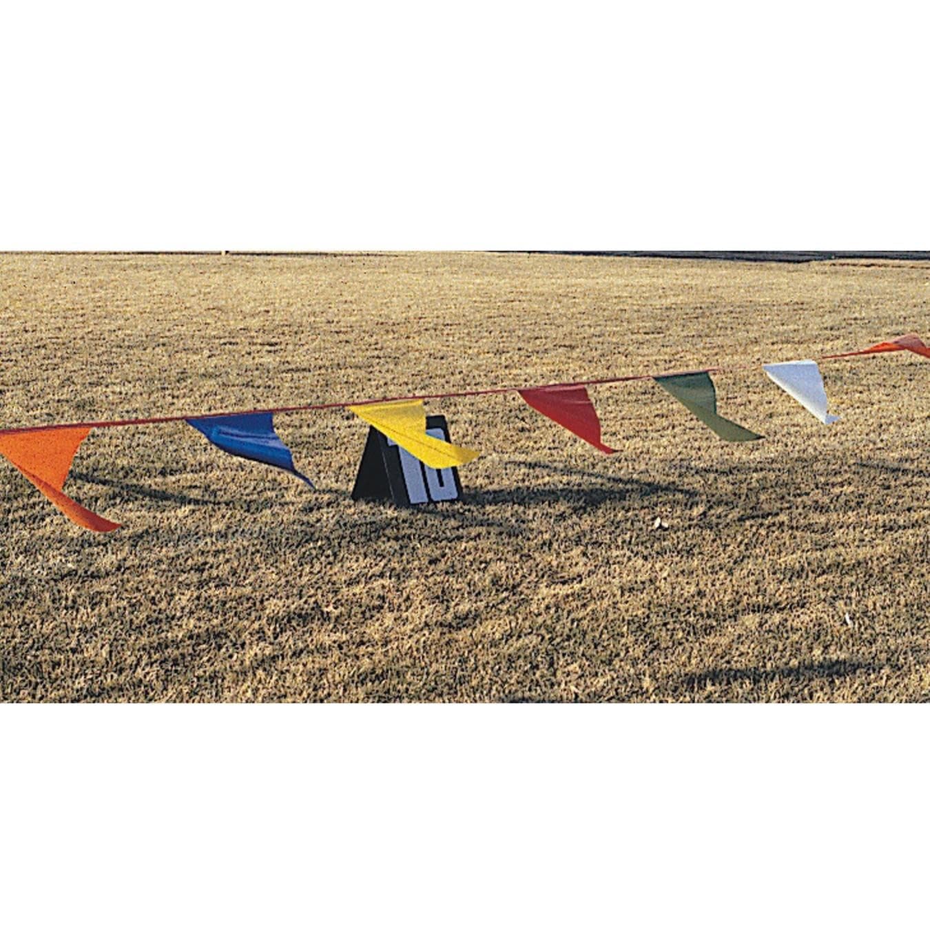 S&S Worldwide 100' Long Pennant Streamer. 18" Long Nylon Fabric Pennants in Assorted Colors Attached to a Strap. Perfect for Marking Fields, Directing Crowds, Cross Country Meets and More.