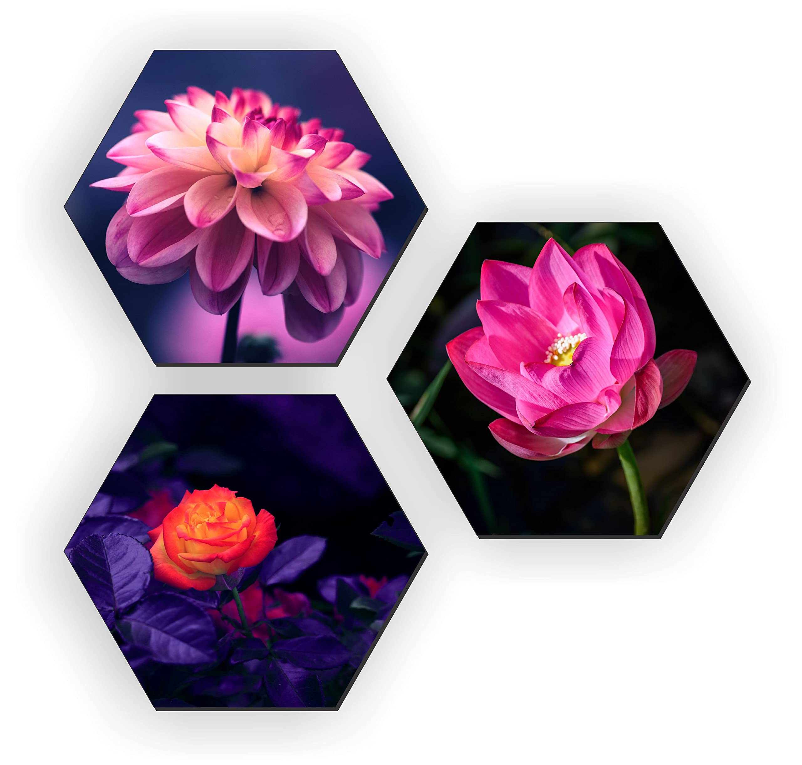 KK CraftSet Of 3 Flower Paintings For Wall Decor, Wooden Paintings For Wall Decor, Paintings For Living Room Wall Decor (Multi, Hexagonal)