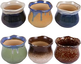 Hemoton Hoog kwaliteit 6 unidades de cerâmica suculenta vasos de flores respiráveis ??vasos de cactos vasos de argila