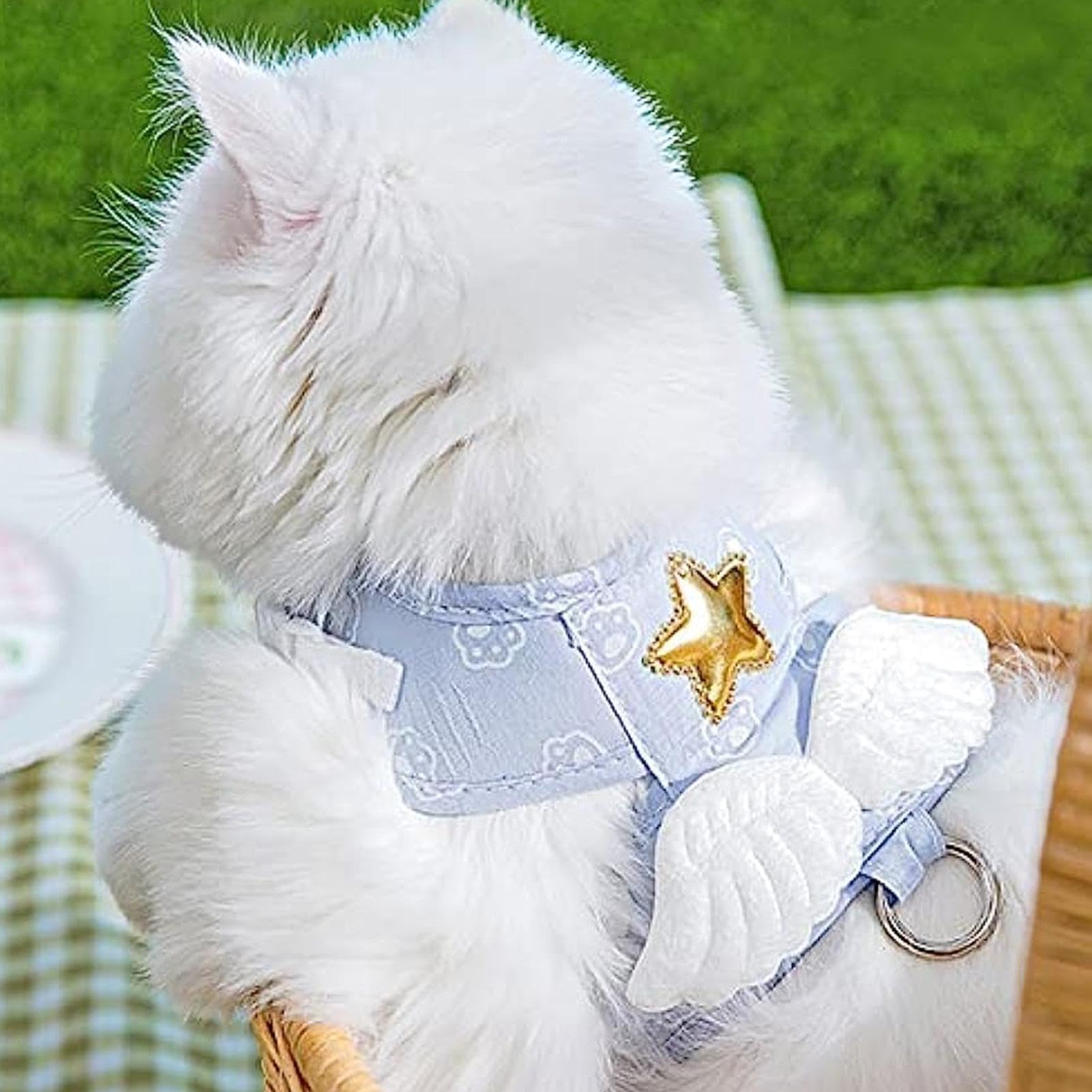 Guinzaglio per gatti – Set di pettorine e lino, gilet regolabile per gatti