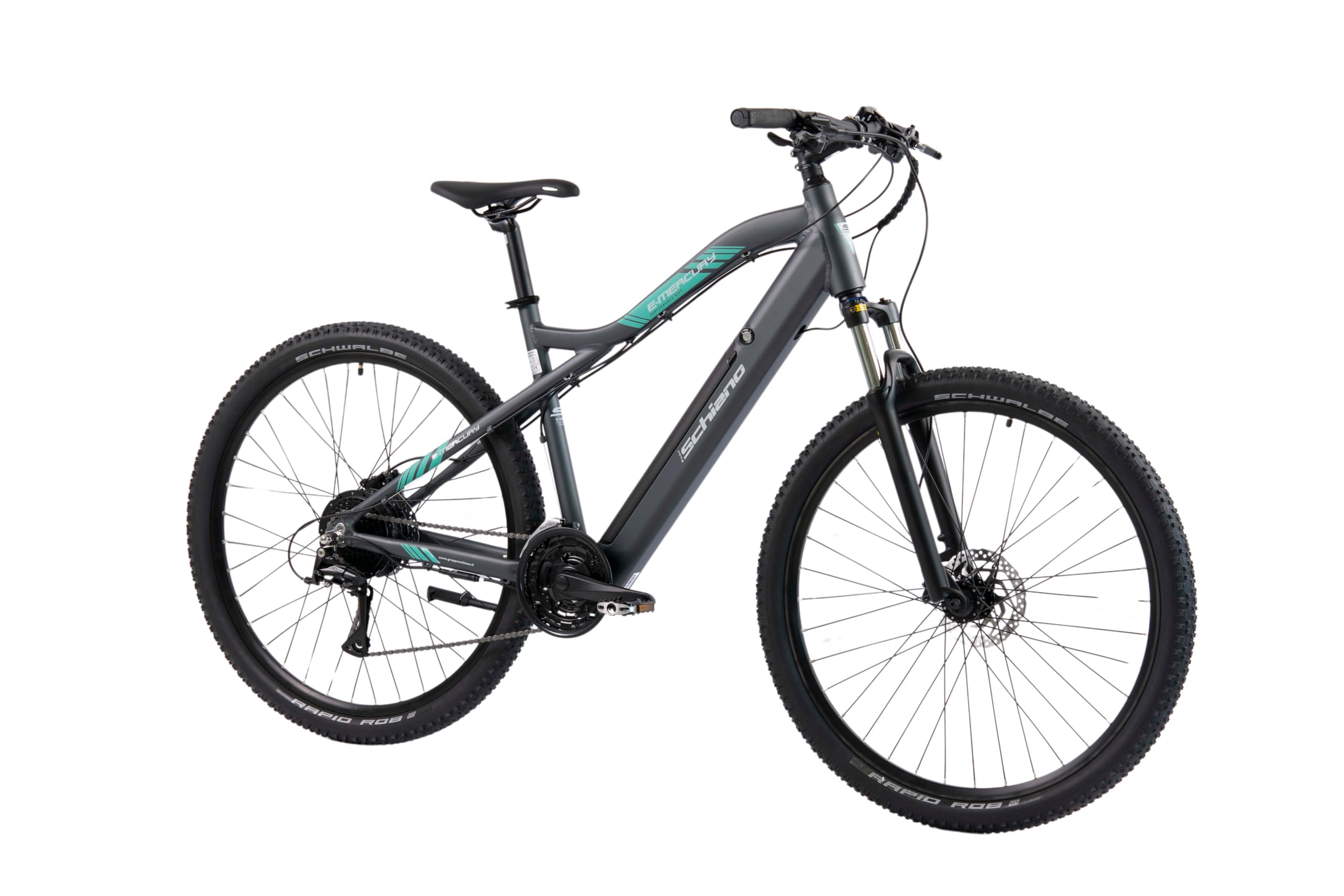 F.lli Schiano E-Mercury, Bici Elettrica Mountain Bike 29 Inches per Adulti, 36V 11.6Ah Batteria Rimovibile, Motore 250W 50Nm, MTB Ebike