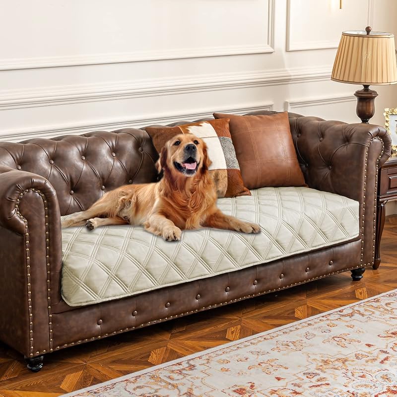 Capa impermeável acolchoada para cama, sofá e móveis de cães Ameritex com verso antiderrapante