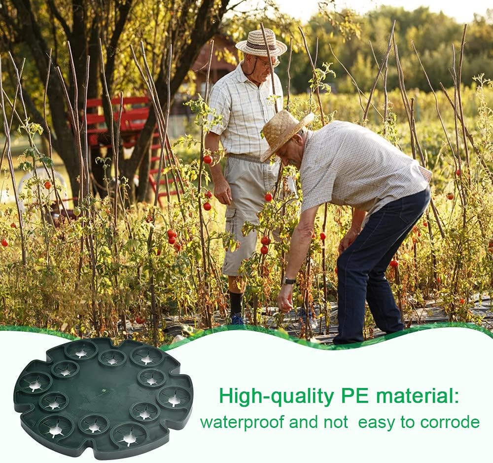 FIGFYOU 5 Pcs Peas Beans Support Sweet Pea Supports 12 Holes Plant