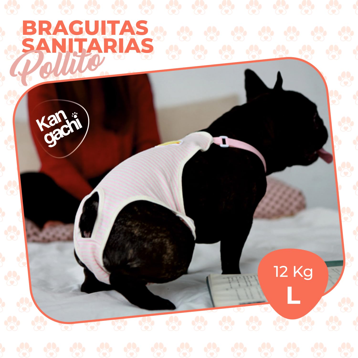 Its Dog & Kangachi - Pack 3 Bragas para Perros Hembra, Bragas Reutilizables y Lavables, Bragas Menstruales, Altamente Absorbentes, Pañales Made in Korea, Perros Pequeños y Medianos, Talla M