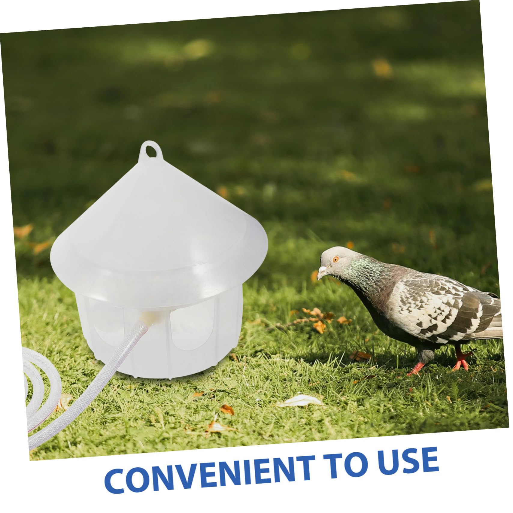 Abreuvoir Automatique pour Pigeons, Plastique, Grosse Capacité