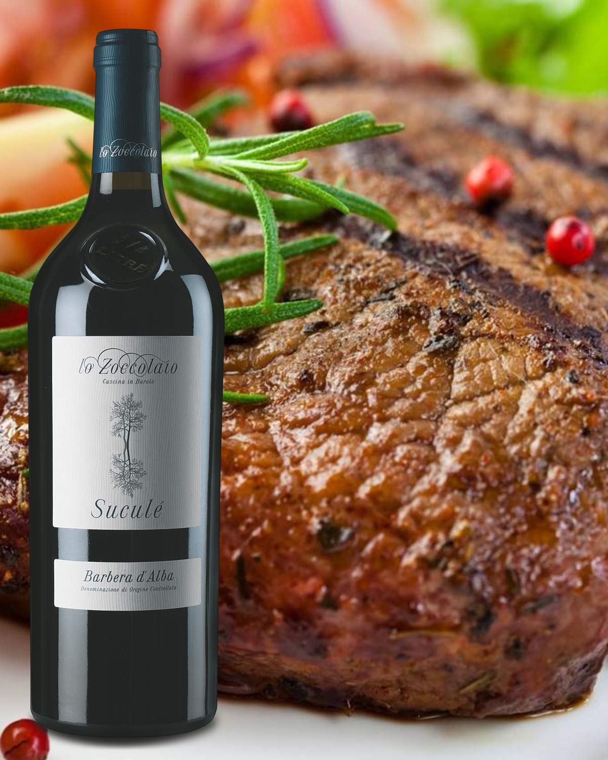 Lo Zoccolaio - Vino Rosso - Barbera d'Alba DOC Superiore Suculè + Cassa Legno 1 X 750 ml