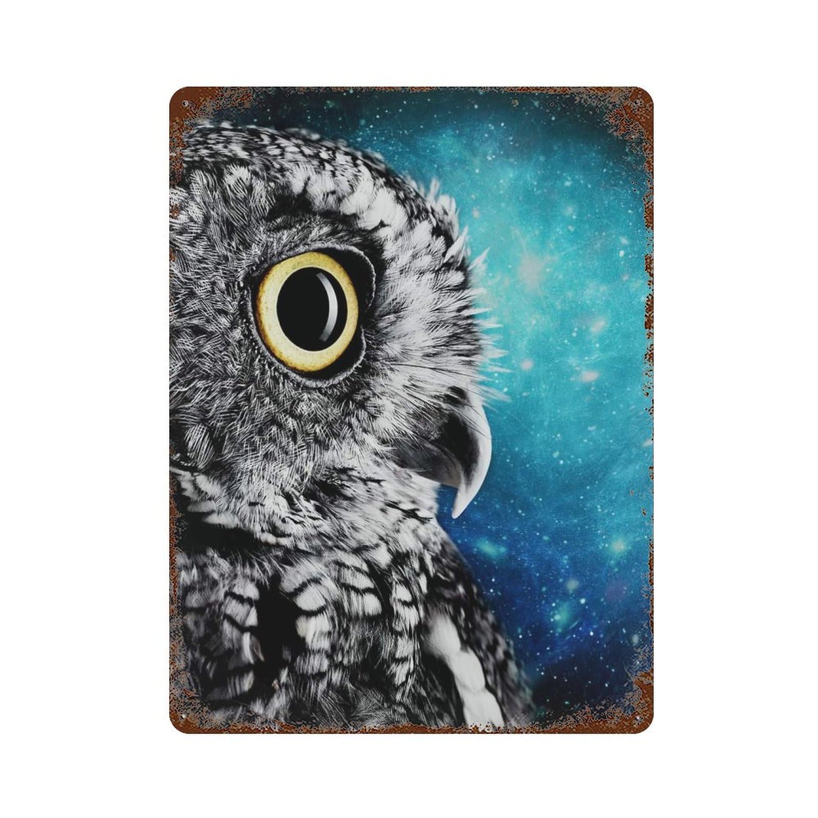 Owl Galaxy 15.7"x11.8" Distressed Metal Wall Sign, Shabby Chic Decor for Shed, Workshop And Garage Wall Decor