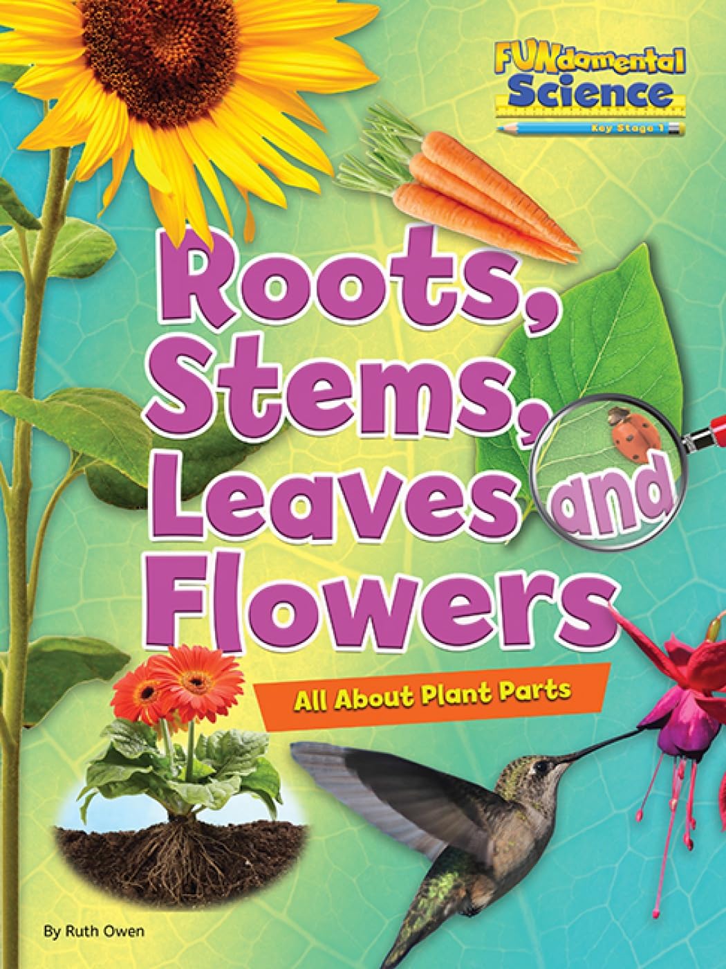 Roots, Stems, Leaves and Flowers by Ruth Owen (Paperback Book)