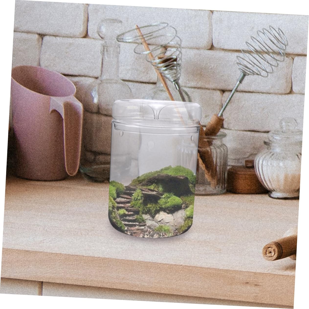 Terrarium Glass Container DIY Bottle Plant Stand Eco-Friendly Vase for House Plant Bohemian Decor