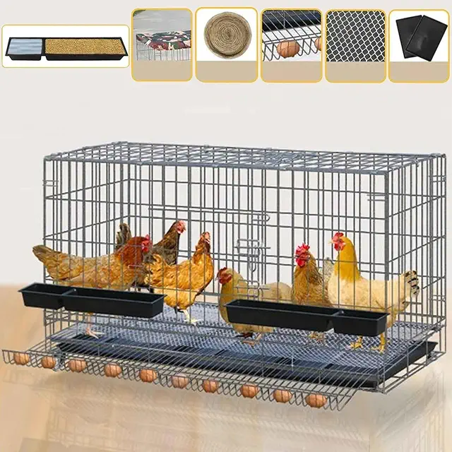 Jaula para Gallinas Barata Plegable con Bandeja de Basura y Recogedor de Huevos