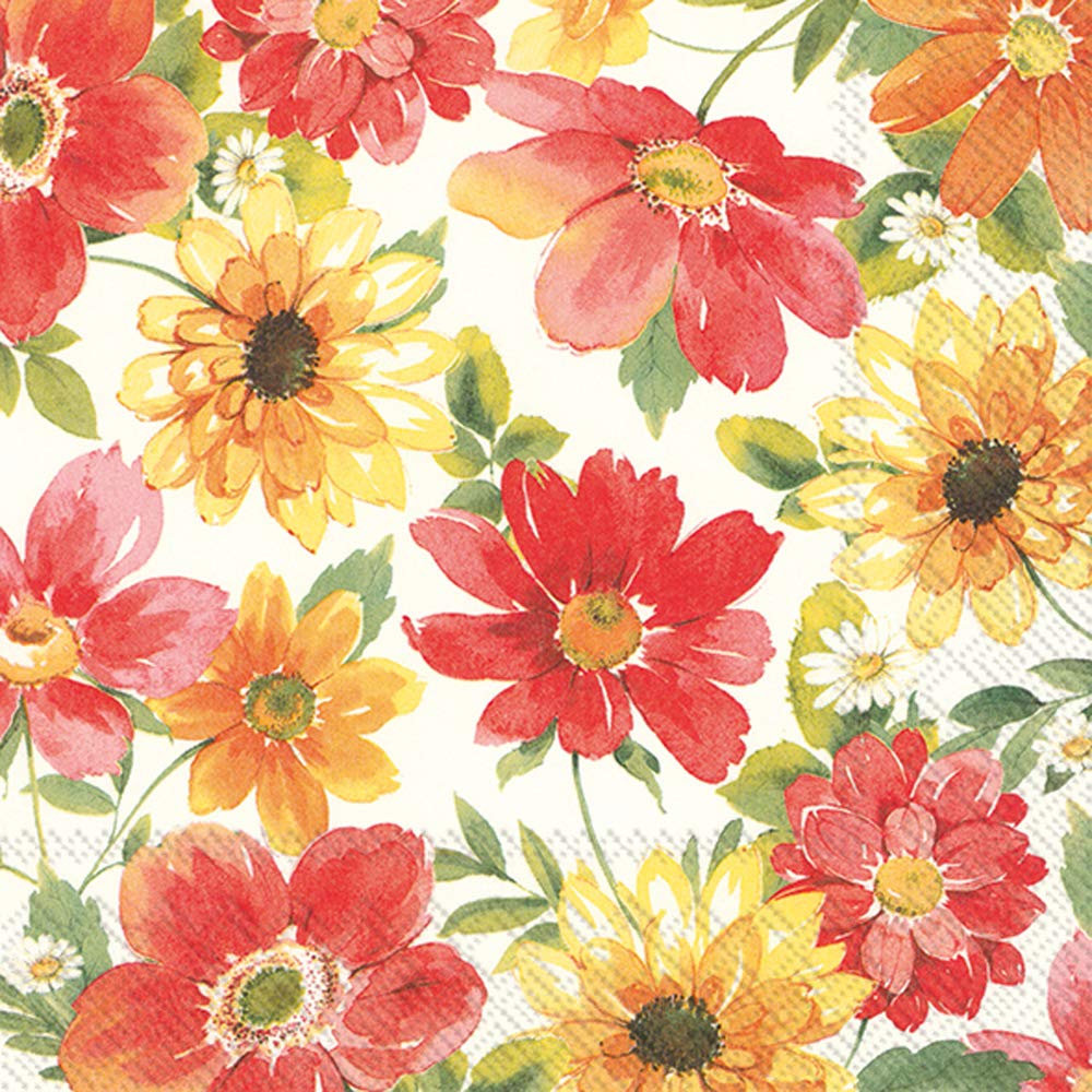 Boston International IHR 3-Ply Cocktail Beverage Paper Napkins, 20-Count, 5 x 5-Inches, Josephine