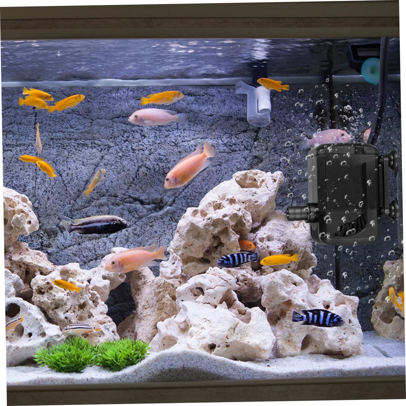 Toddmomy 3piezas Bomba Submersible Para Acuarios h Silenciosa Para Peceras y Fuentes Fácil Instalación Con Ventosas Filtro De Agua y Potente