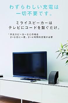 MIRAI SPEAKER CURVY ミライスピーカーカーヴィ ミライスピーカー Boxy 2 ＆ Curvyレビュー／遠くてもよく