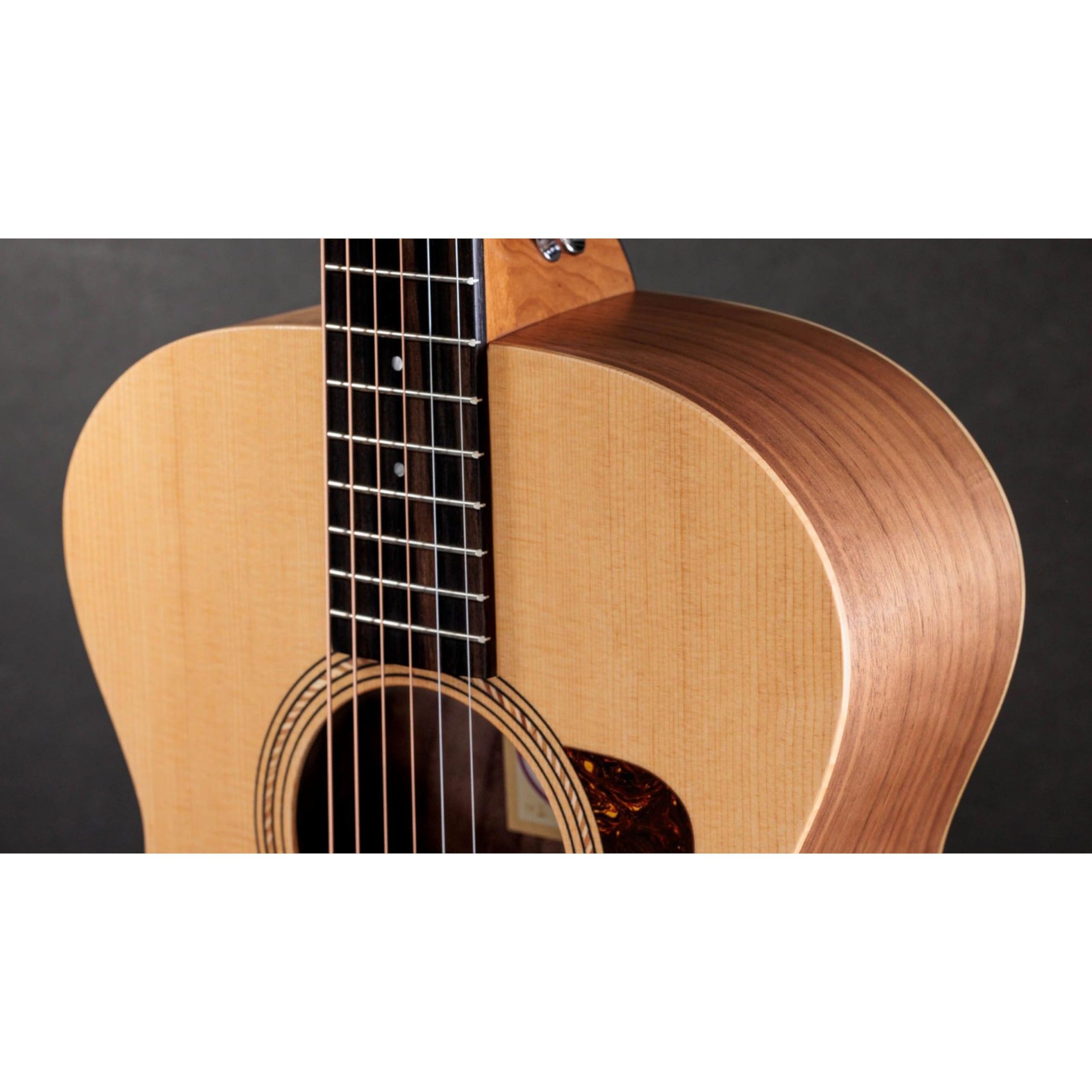 Amazon.com: Taylor Academy 12 : Musical Instruments